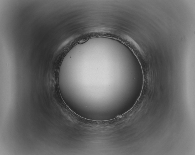 X0000113351064200909151149