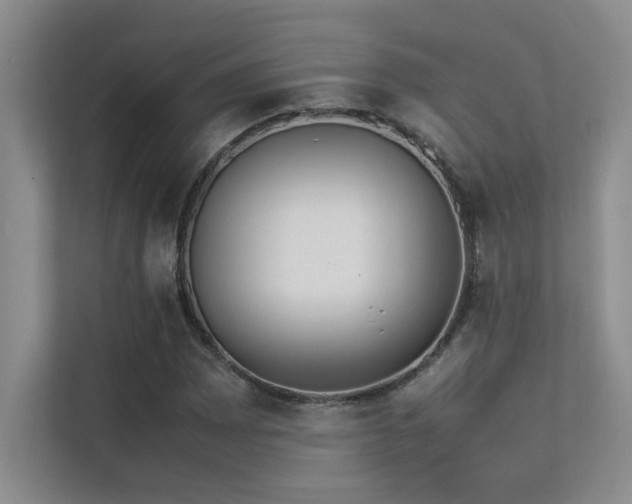 X0000113351065200909151149