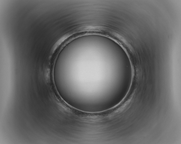 X0000113351066200909151149
