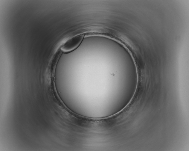 X0000113351067200909151149