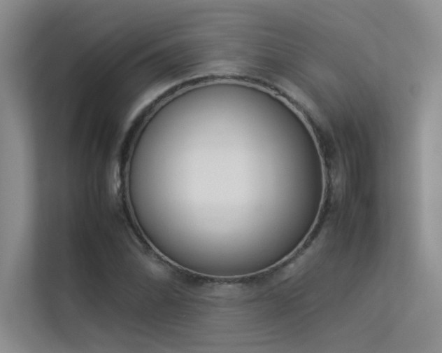 X0000113351070200909151149