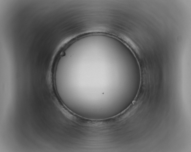 X0000113351072200909151149