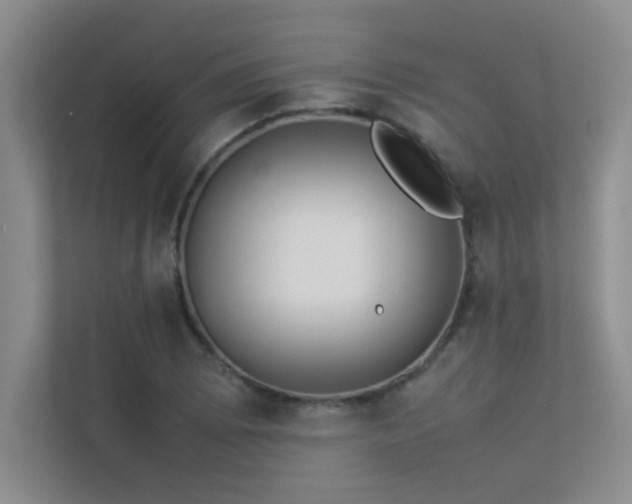 X0000113351073200909151149