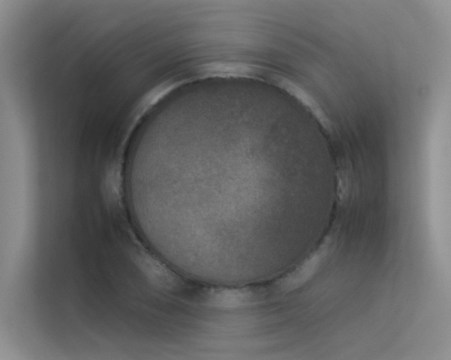 X0000113351074200909151149