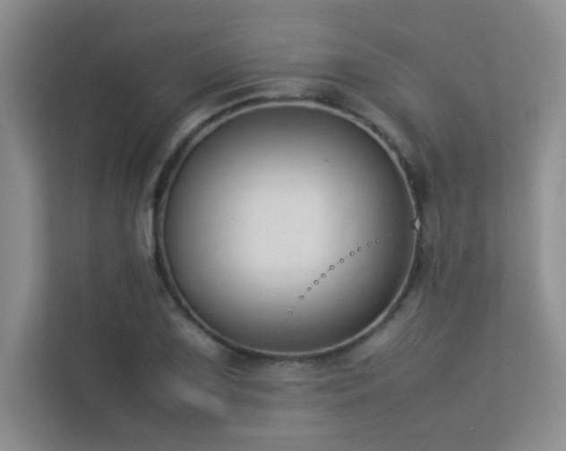X0000113351075200909151149