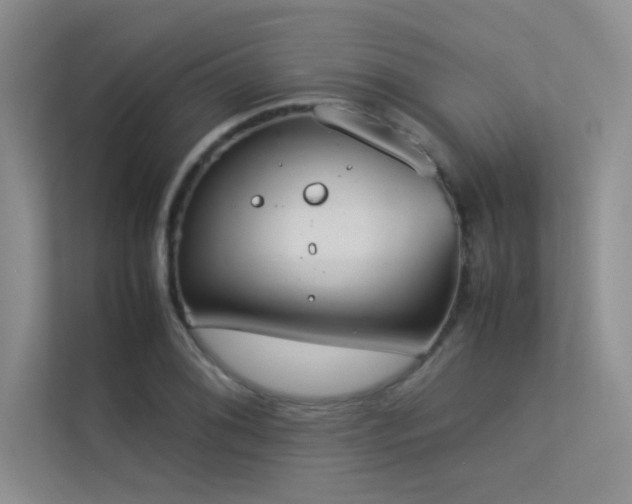X0000113351076200909151149