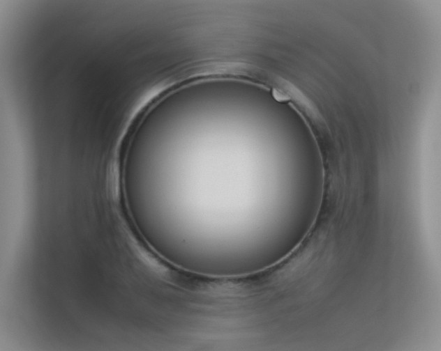 X0000113351079200909151149