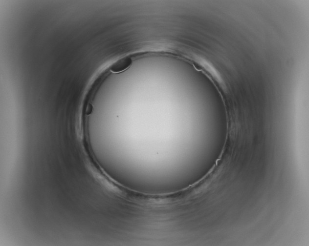X0000113351080200909151149
