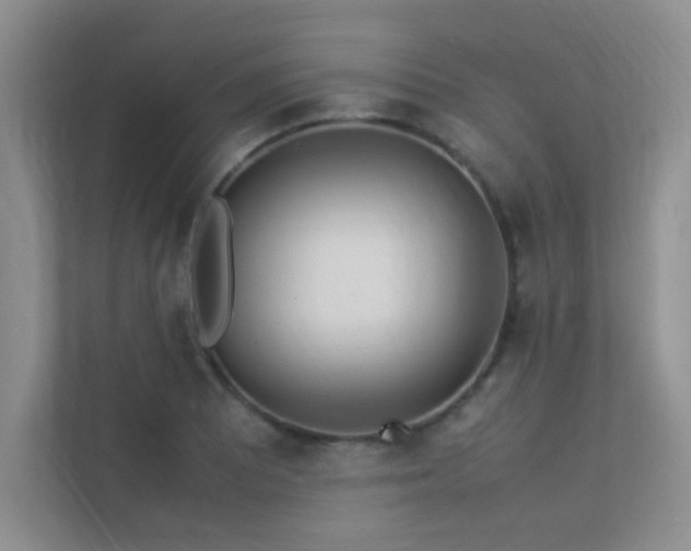 X0000113351081200909151149