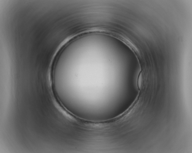 X0000113351084200909151149