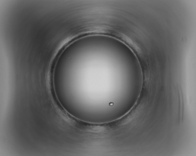 X0000113351085200909151149