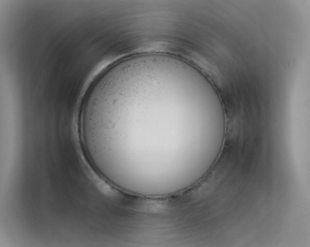 X0000113351086200909151149