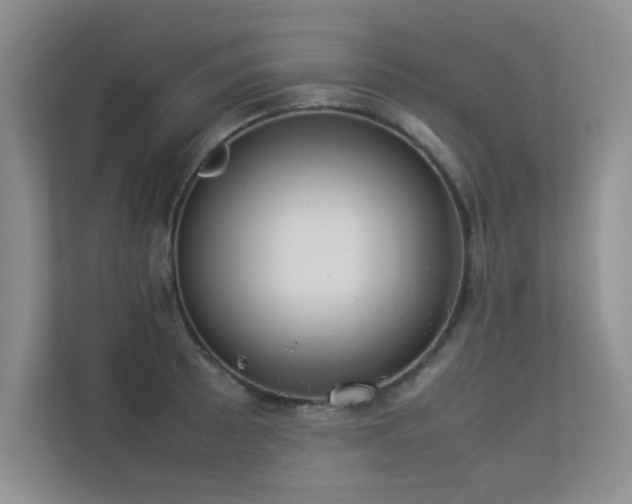 X0000113351089200909151149