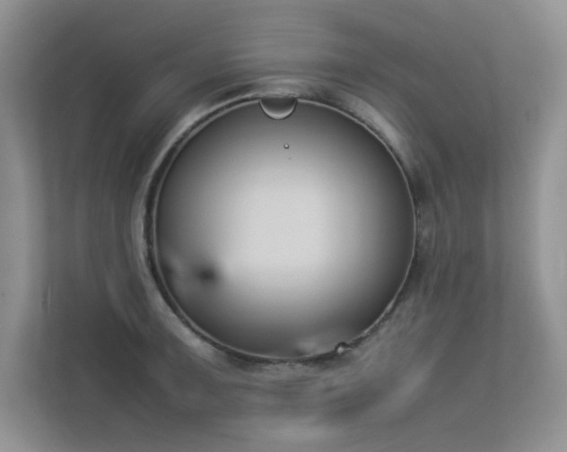 X0000113351091200909151149