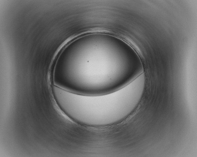 X0000113351092200909151149