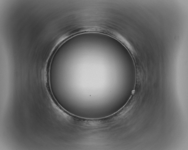 X0000113351095200909151148