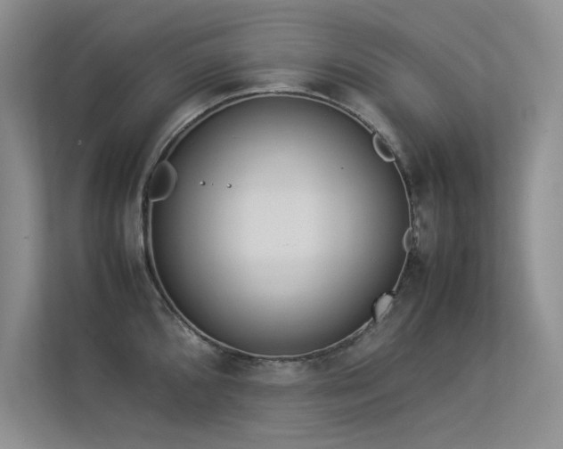 X0000113351096200909151148
