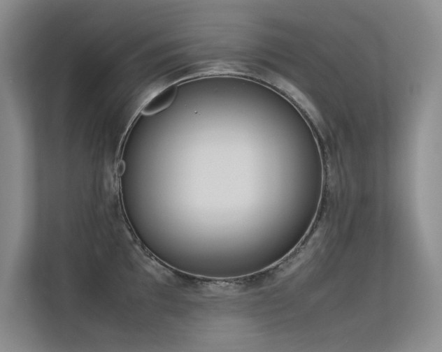 X0000113351097200909151148