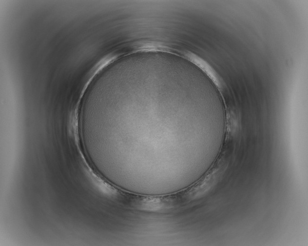 X0000113351098200909151148