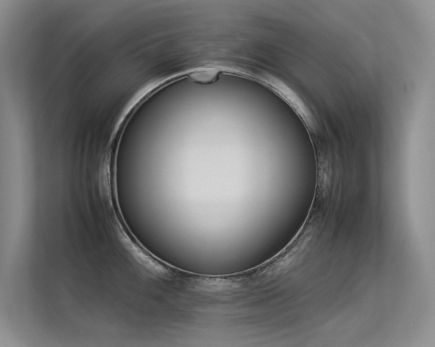 X0000113351100200909151148
