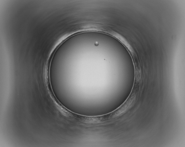 X0000113351101200909151148