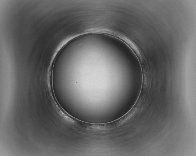 X0000113351102200909151148