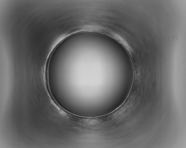 X0000113351103200909151148