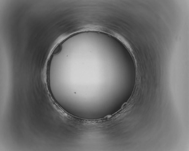 X0000113351104200909151148