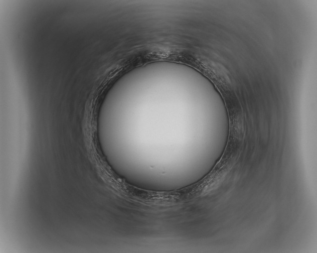X0000113351105200909151148