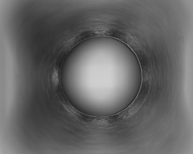 X0000113351106200909151148