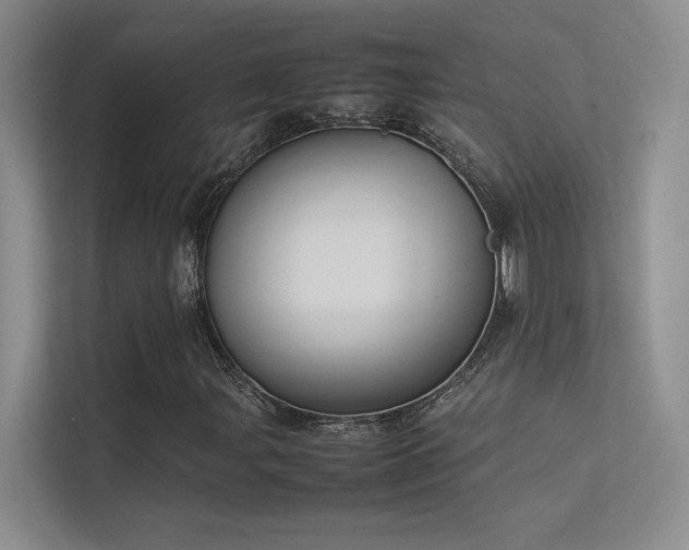 X0000113351107200909151148