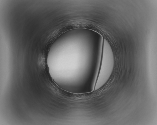 X0000113351108200909151148