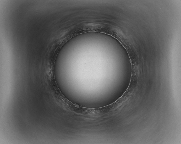 X0000113351109200909151148
