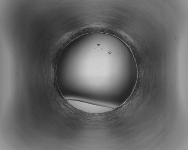 X0000113351110200909151148