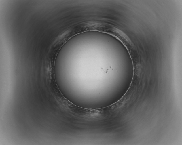 X0000113351111200909151148