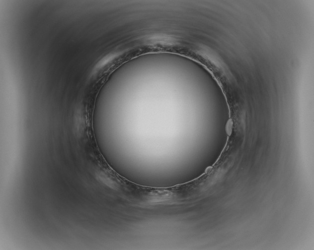 X0000113351112200909151148