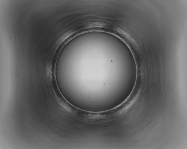 X0000113351113200909151148