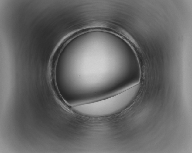 X0000113351116200909151148