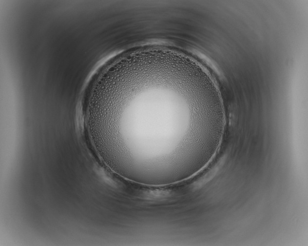 X0000113351117200909151148