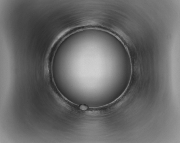 X0000113351118200909151148