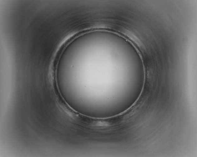 X0000113351119200909151148