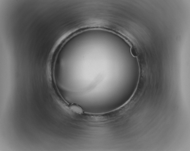 X0000113351120200909151148