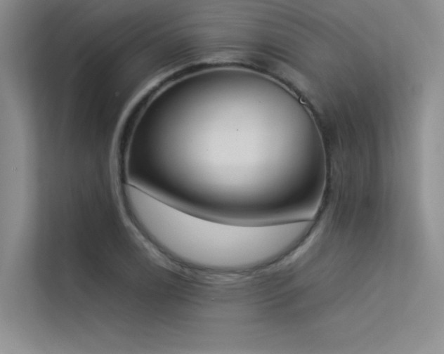 X0000113351122200909151148