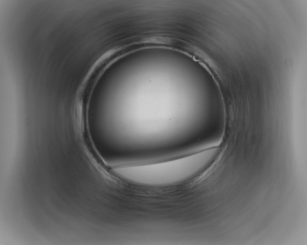 X0000113351123200909151148