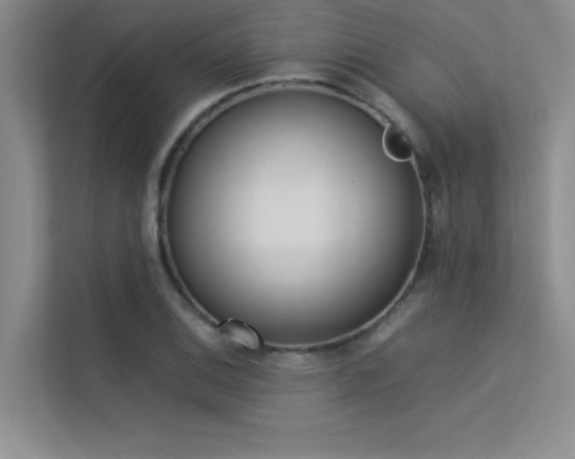 X0000113351124200909151148