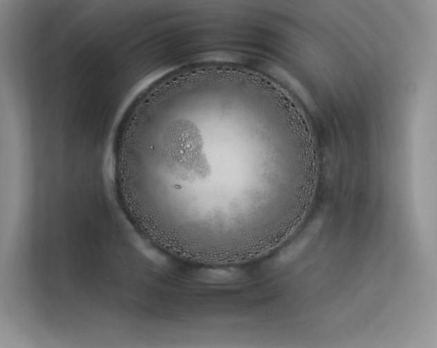 X0000113351125200909151148