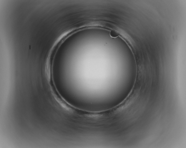 X0000113351127200909151148