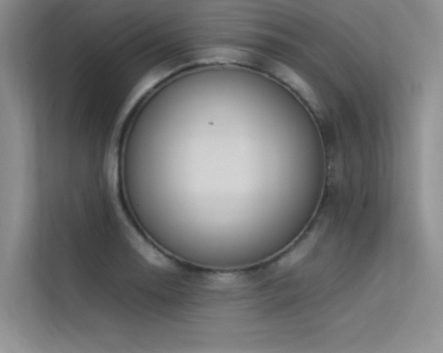 X0000113351130200909151148