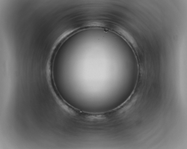 X0000113351133200909151148