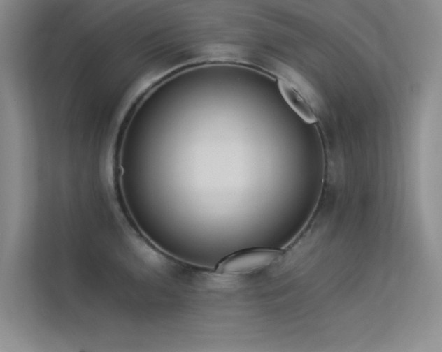 X0000113351136200909151148